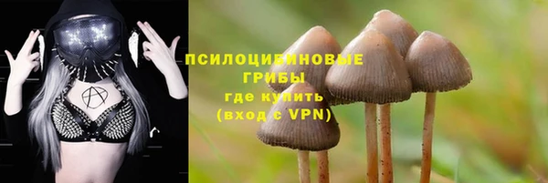 jwh Абаза