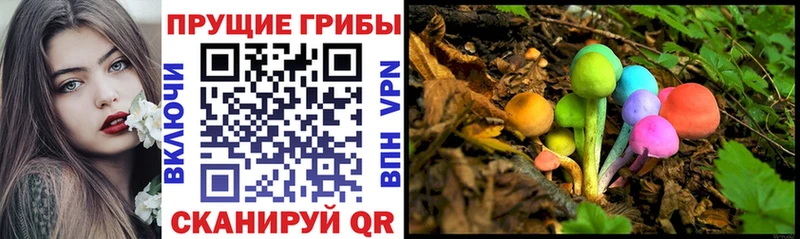 Псилоцибиновые грибы прущие грибы  магазин продажи   blacksprut сайт  Алагир 